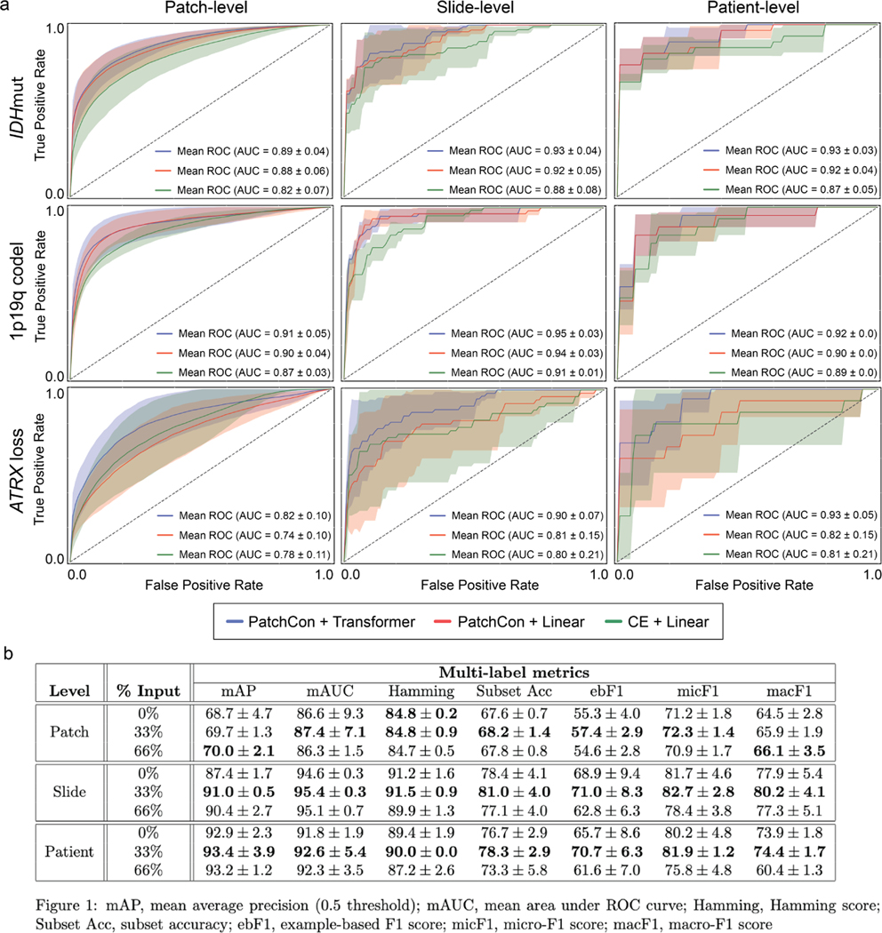 Extended Data Fig 7.