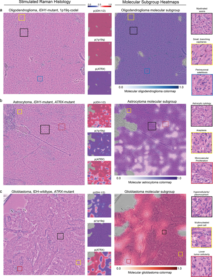 Extended Data Fig 9.