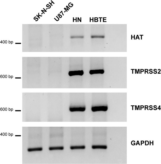 FIG 5