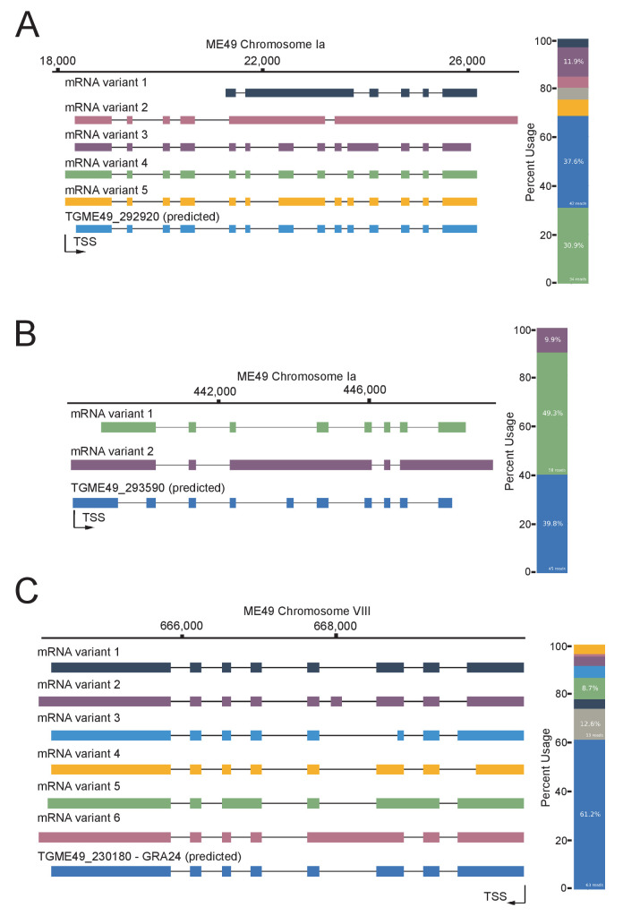 Figure 7—figure supplement 4.