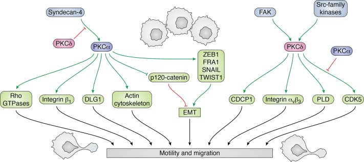 Figure 5