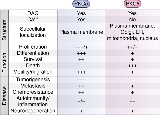 Figure 6