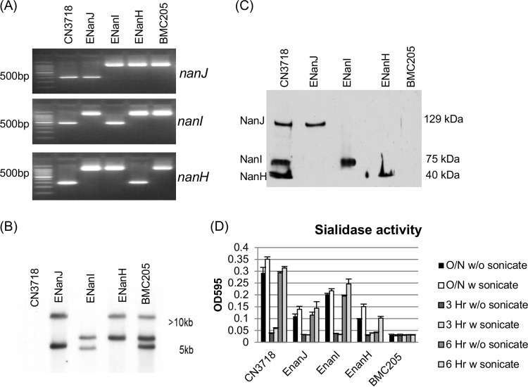 FIG 1