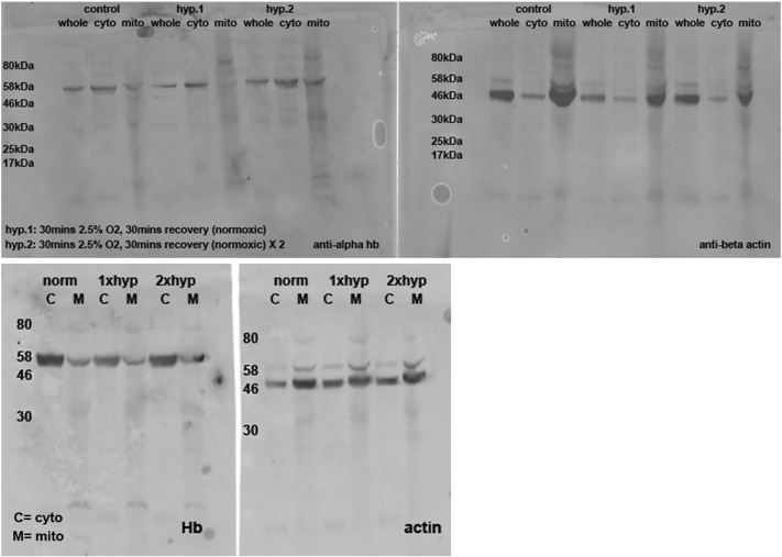 Supplementary Fig. 1b