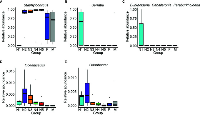 Figure 5