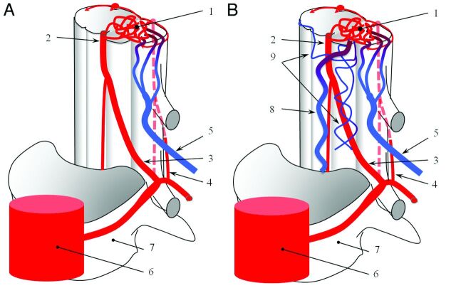 Fig 1.