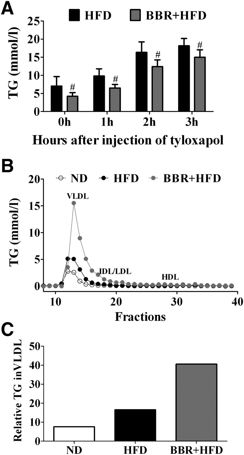 Fig. 10.