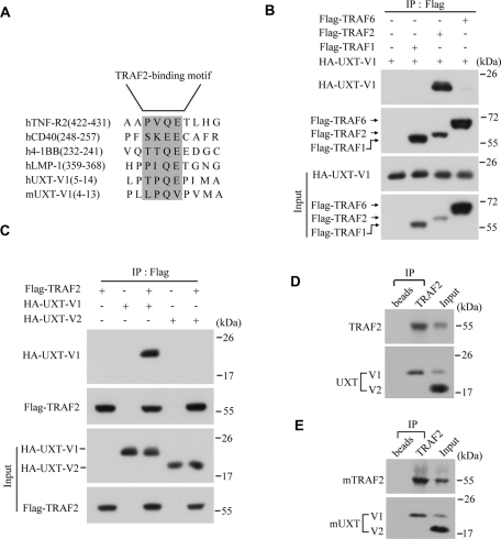 FIGURE 3: