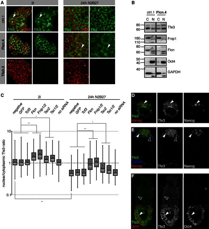 Figure 4