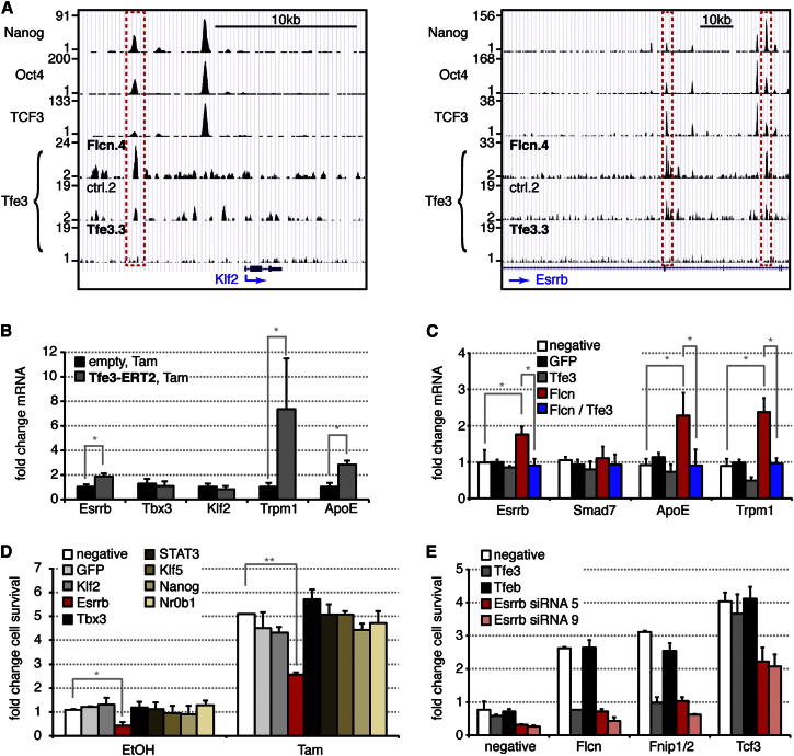 Figure 6