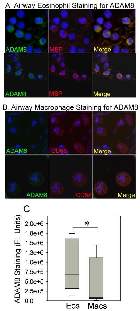 Fig. 10