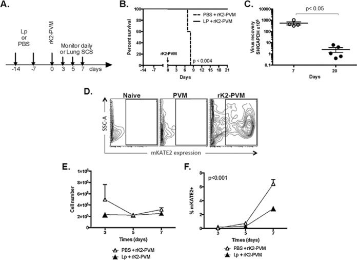 FIG 3