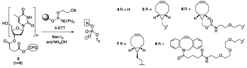 Scheme 2