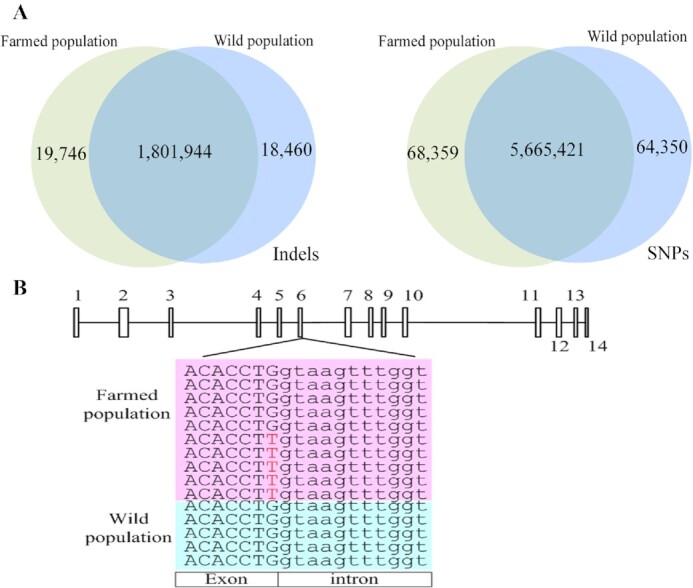 Figure 4: