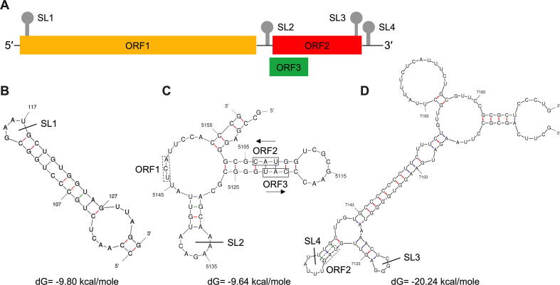 Fig. 4