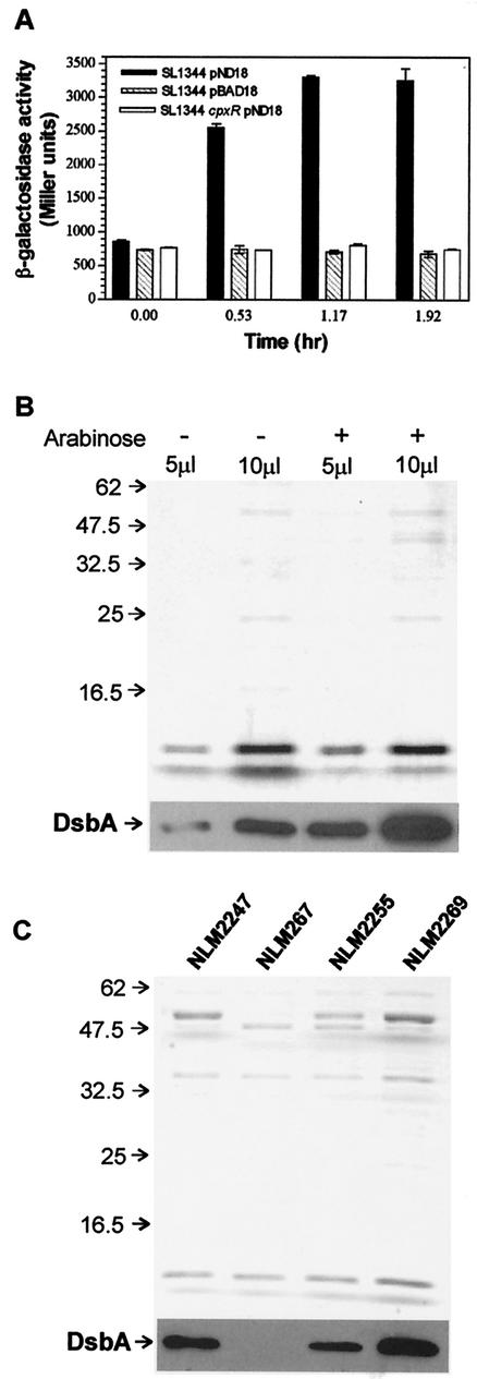 FIG. 3.