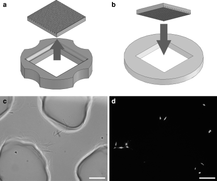 Fig. 6