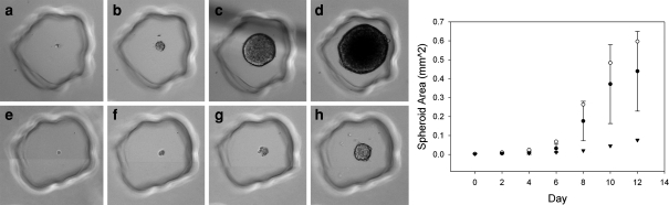 Fig. 8