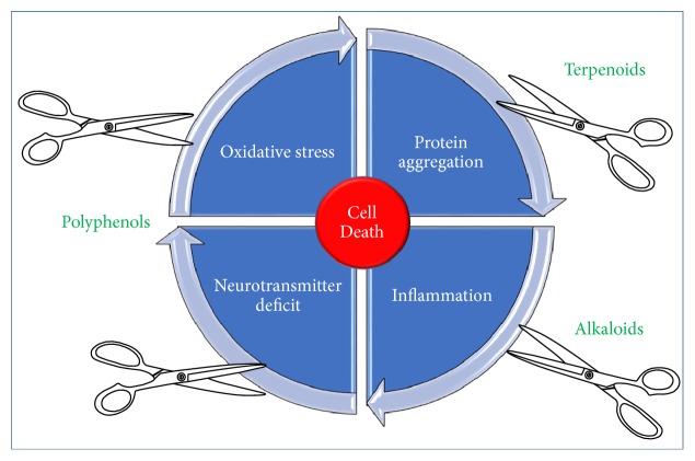 Figure 11