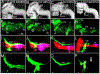 Fig. 7.