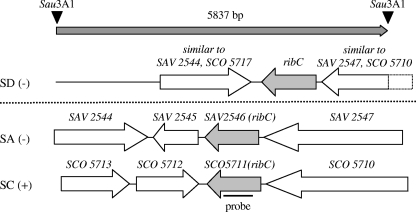 FIG. 2.