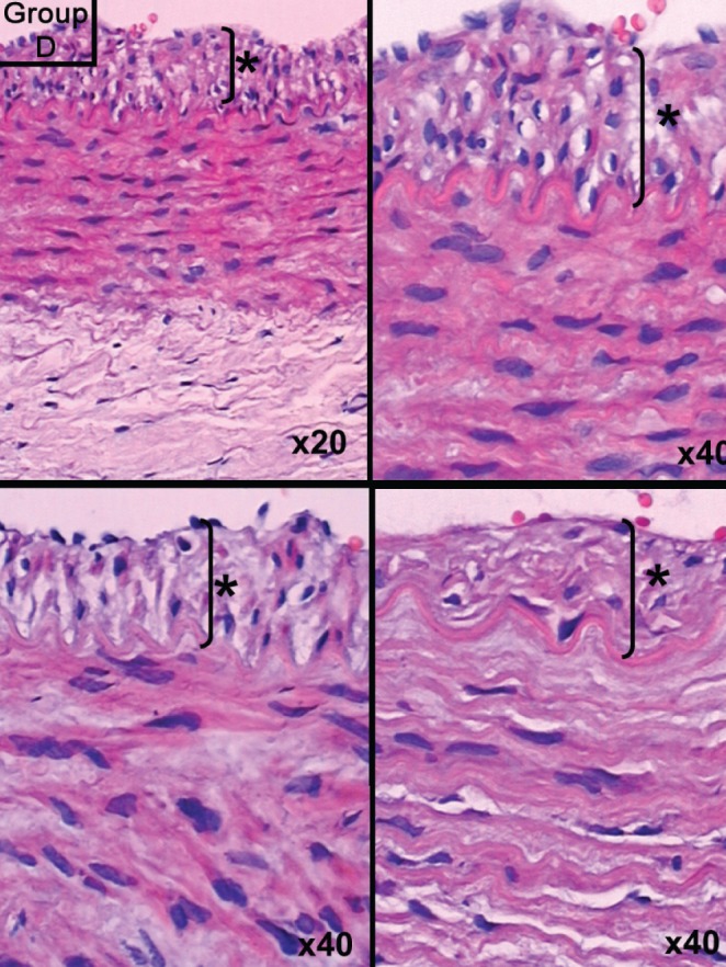 Figure 4)