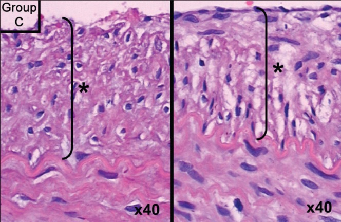 Figure 3)