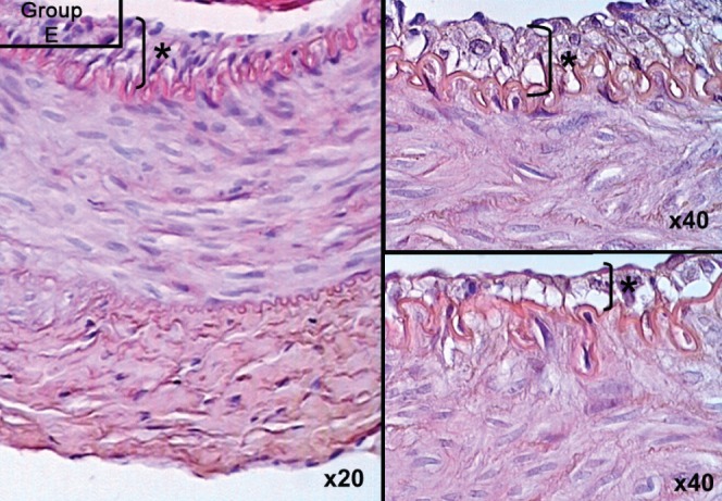 Figure 5)