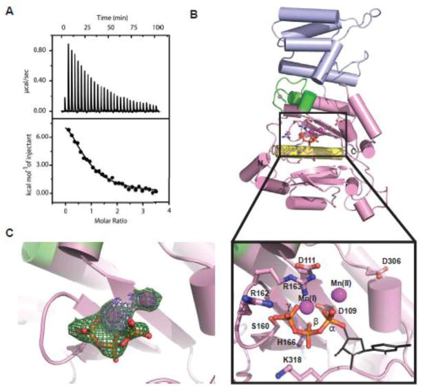 Fig. 3