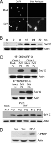FIG. 8.
