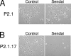 FIG. 6.