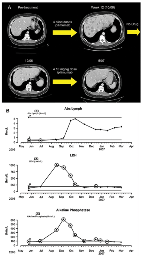 Figure 4