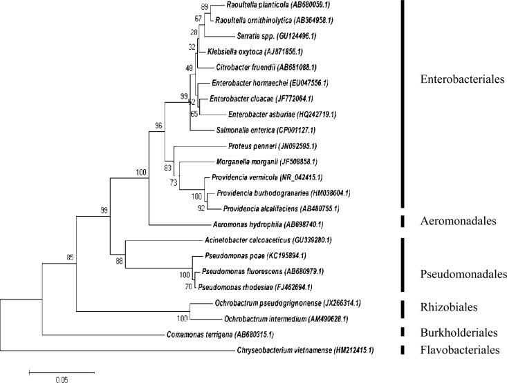 FIG 1