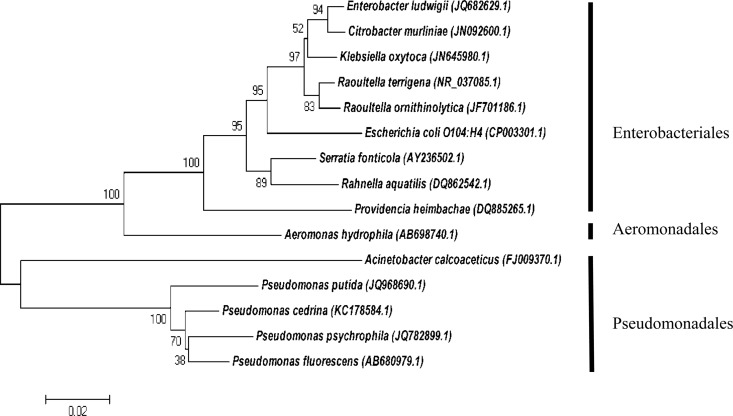 FIG 2