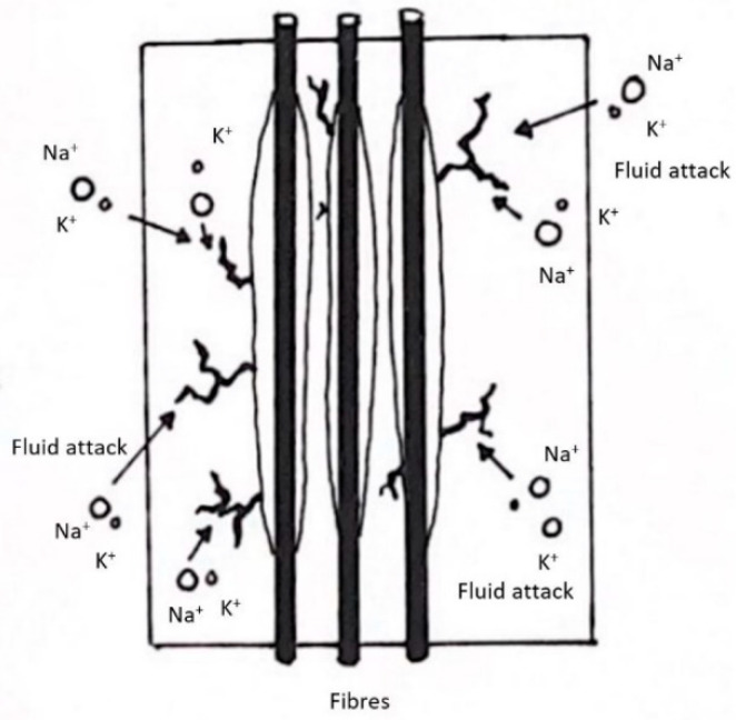 Figure 8