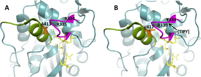 FIG 2