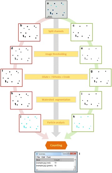 Fig. 1