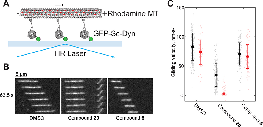 Figure 6.