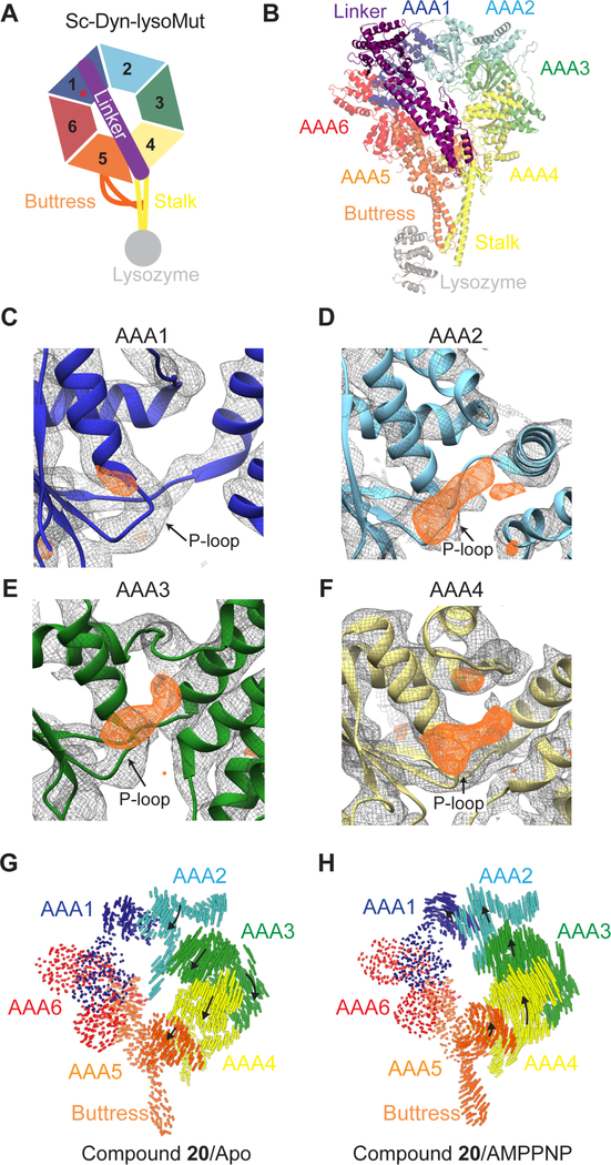 Figure 3.