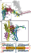 Figure 39.