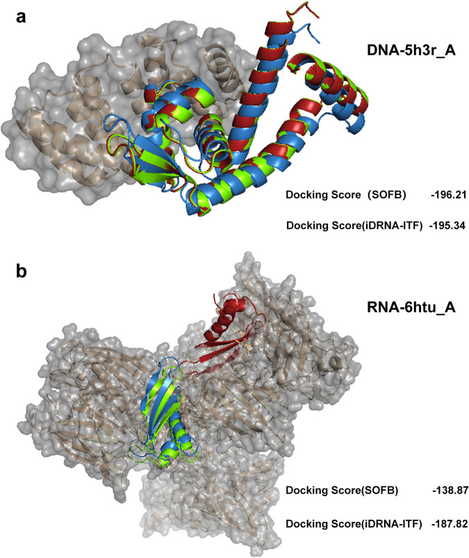 Fig. 8