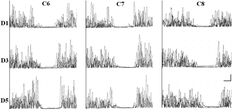 Fig. 2