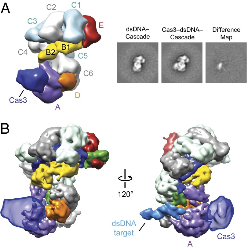 Fig. 2.