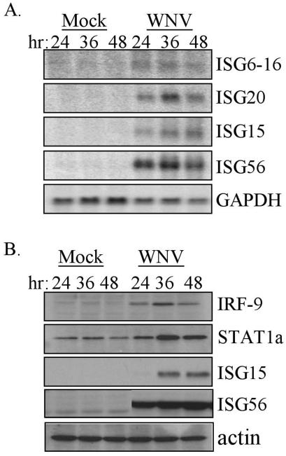 FIG. 3.