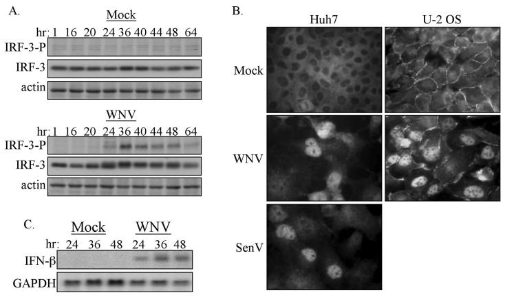 FIG. 6.