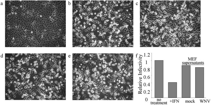 FIG. 8.