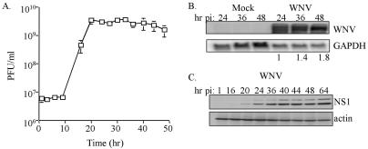 FIG. 1.