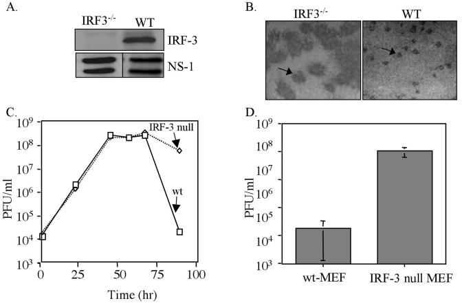 FIG. 7.