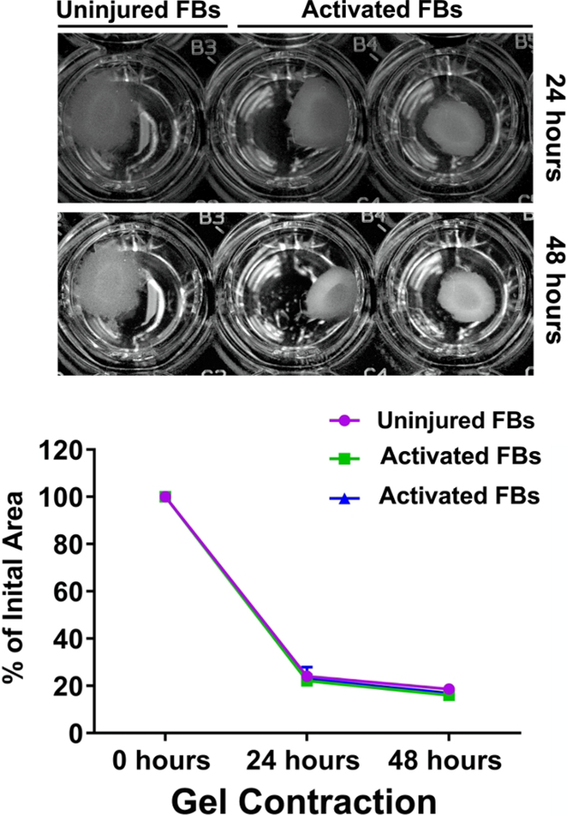 Figure 4: