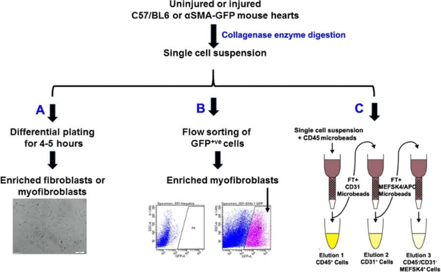 Figure 1: